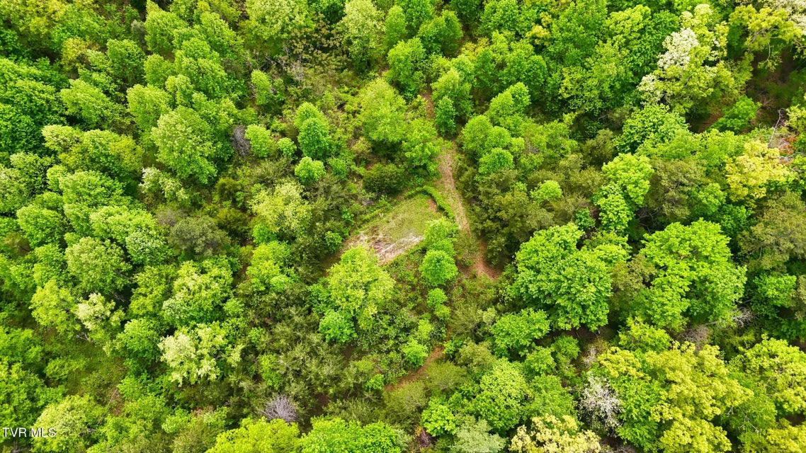 Photo #11: 2736 Middle Creek Road