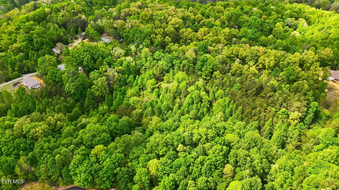 Photo #12: 2736 Middle Creek Road