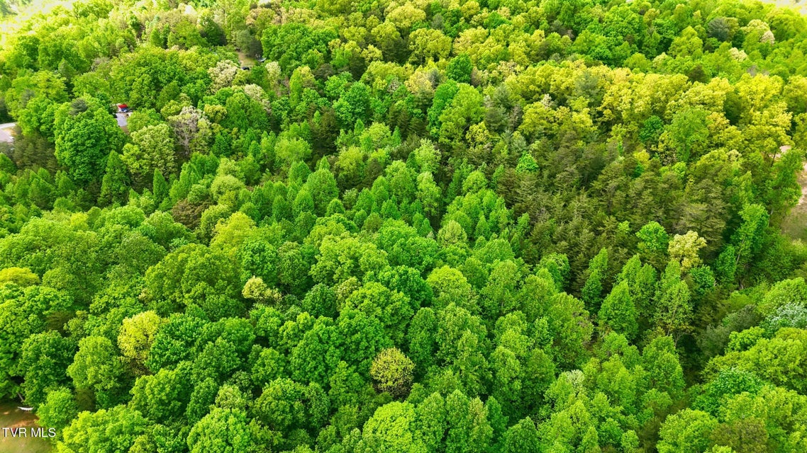 Photo #13: 2736 Middle Creek Road