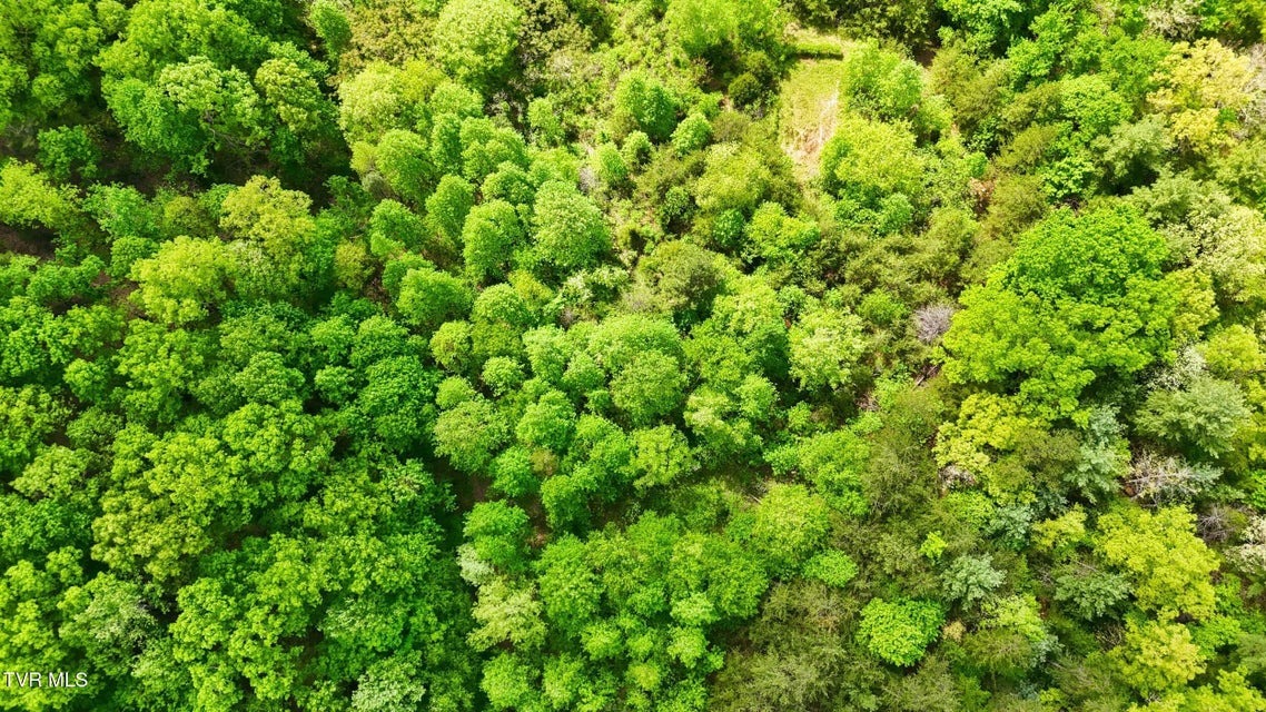 Photo #14: 2736 Middle Creek Road