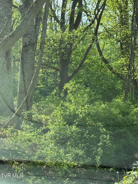 Photo #3: 0 Heaton Creek Road