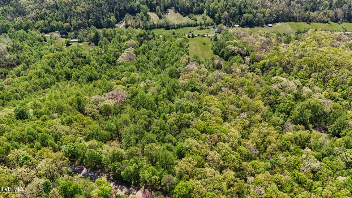 Photo #23: 0 Mendota Road