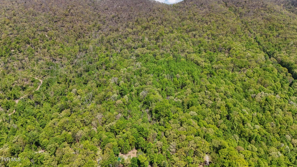 Photo #24: 0 Mendota Road