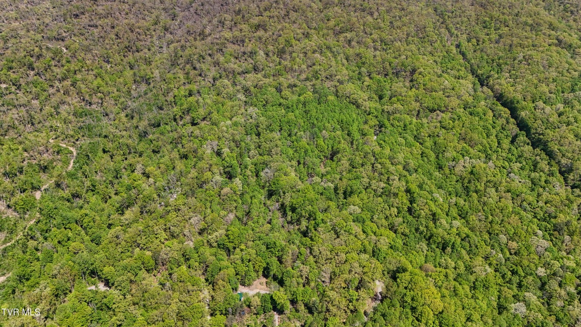 Photo #15: 0 Mendota Road