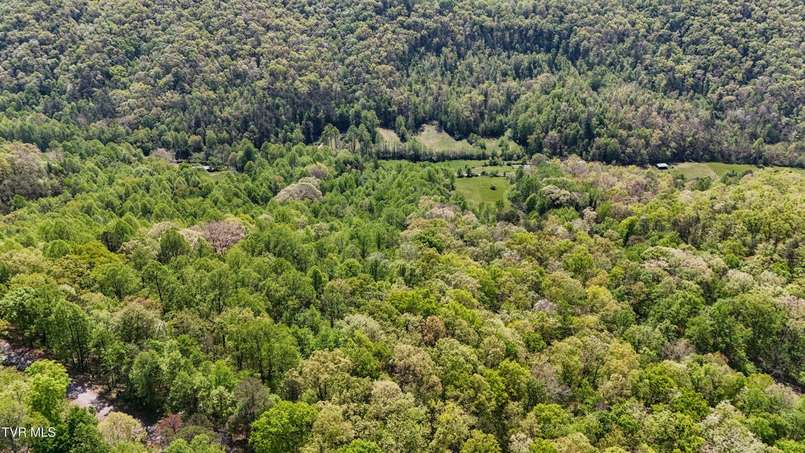 Photo #14: 0 Mendota Road