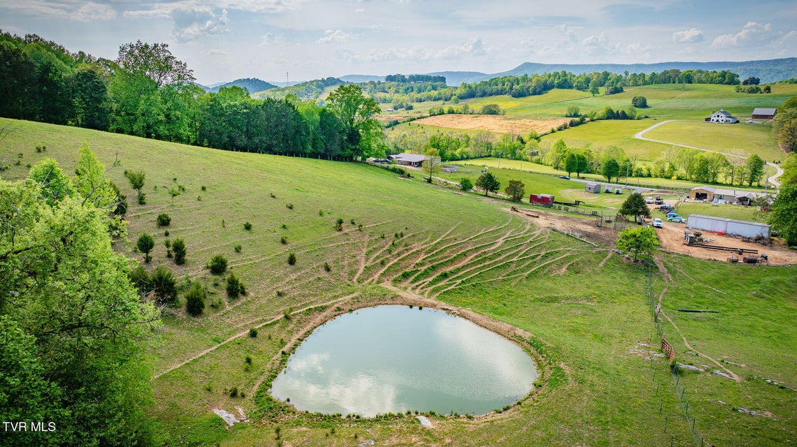 Photo #31: 15650 Kingsport Highway