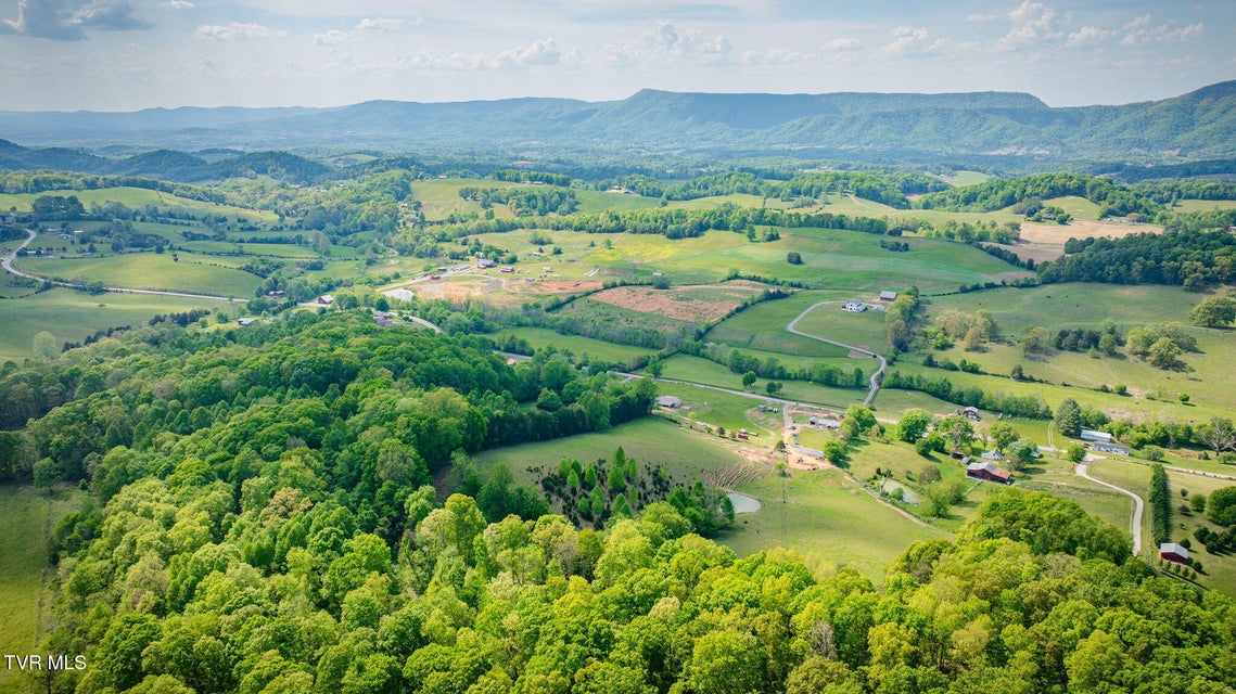 Photo #34: 15650 Kingsport Highway