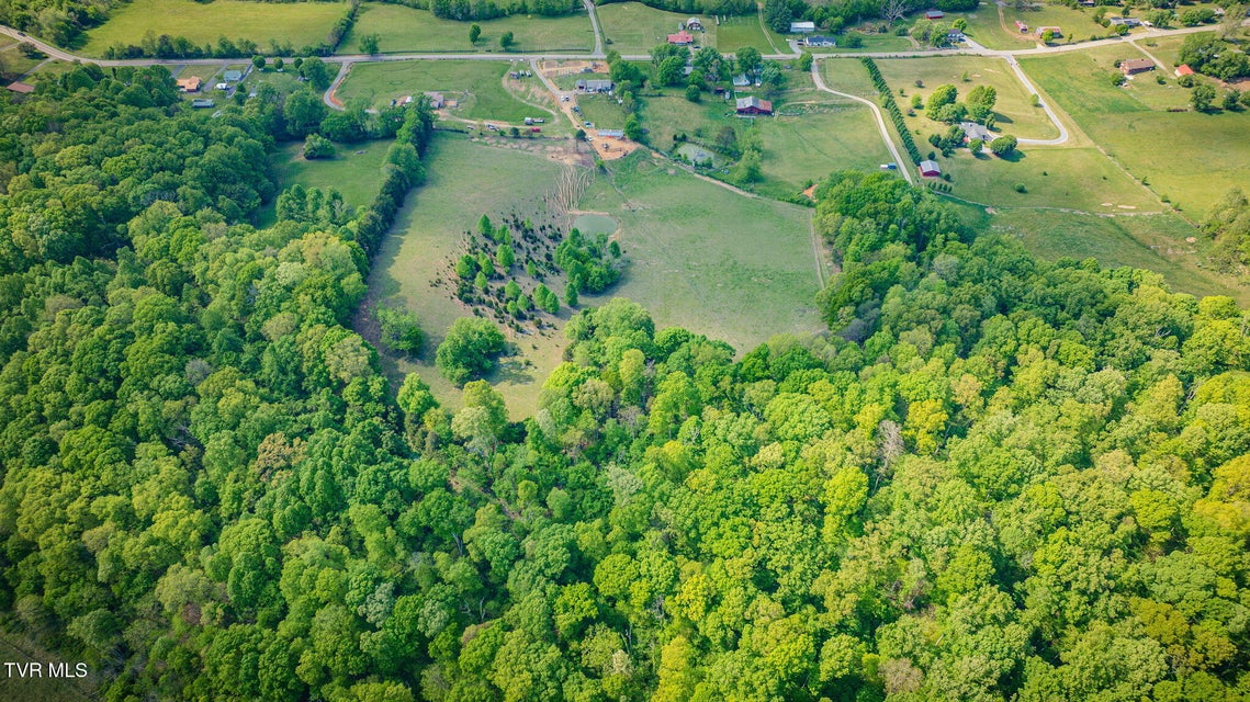 Photo #35: 15650 Kingsport Highway