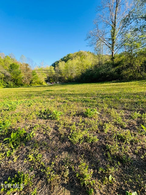 Photo #4: 11135 Boggs Hollow Road