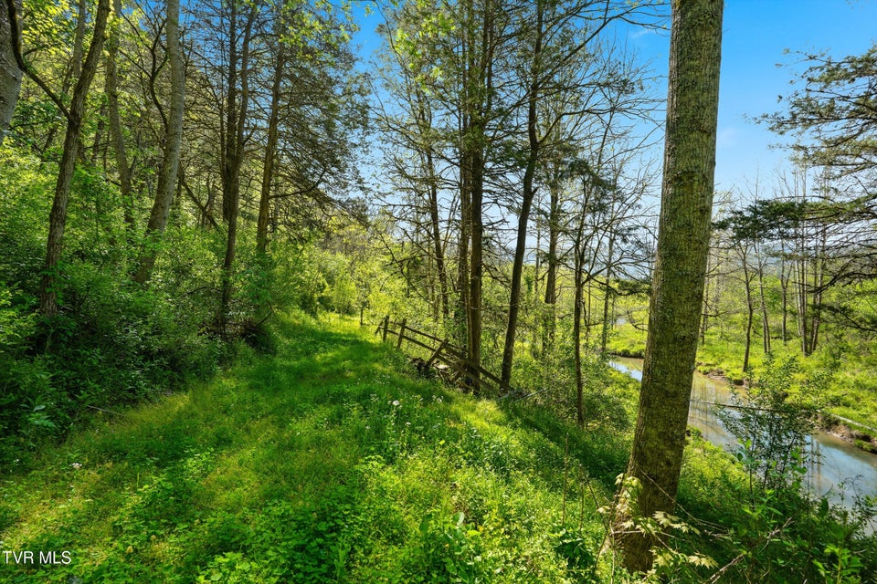 Photo #80: 2235 Wampler Hollow Road