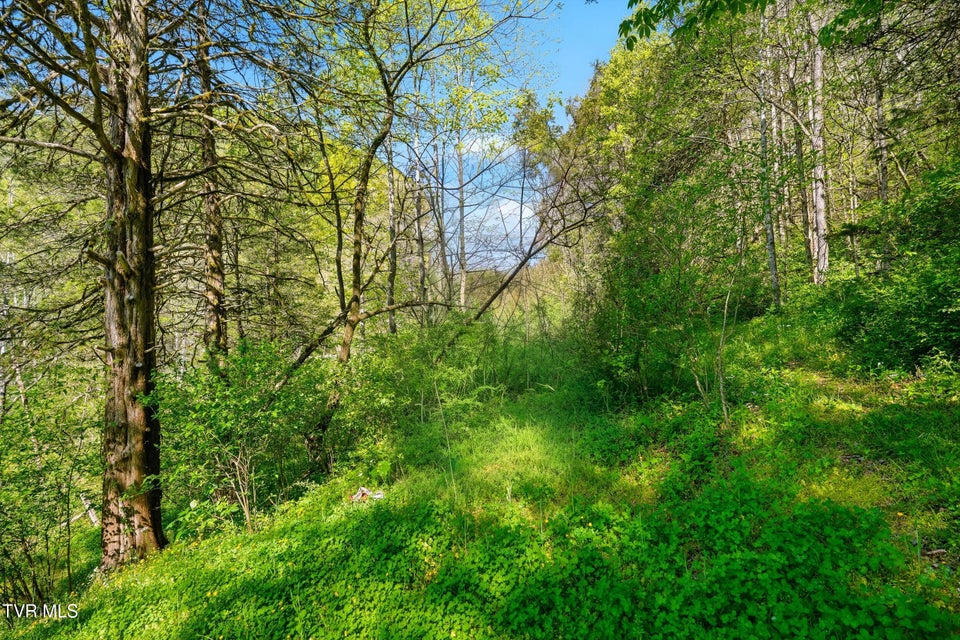 Photo #81: 2235 Wampler Hollow Road