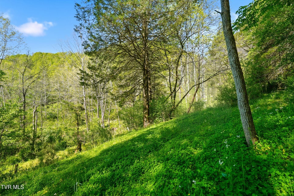 Photo #82: 2235 Wampler Hollow Road