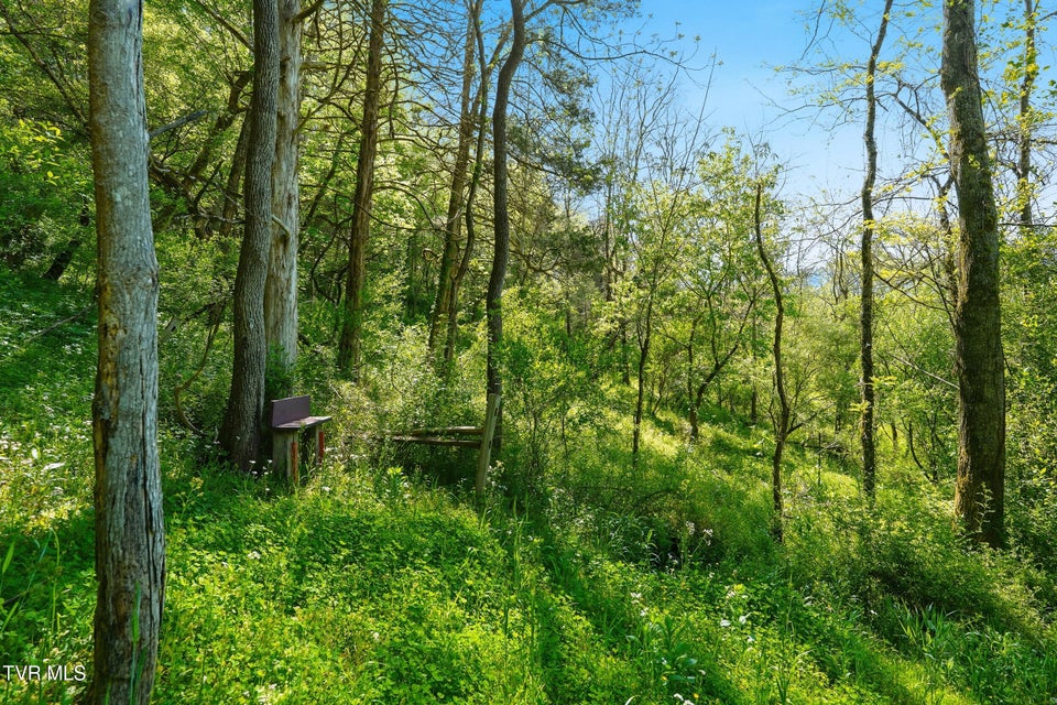 Photo #76: 2235 Wampler Hollow Road