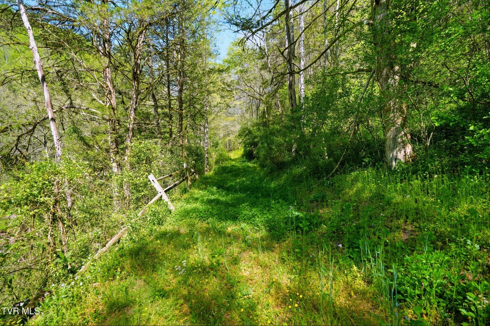 Photo #83: 2235 Wampler Hollow Road