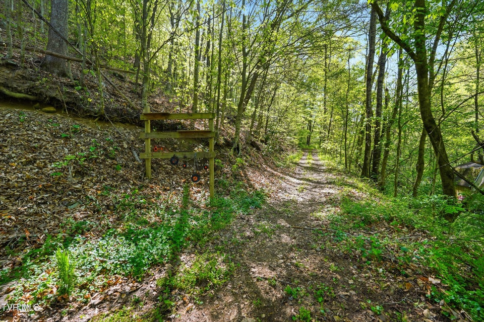 Photo #74: 2235 Wampler Hollow Road