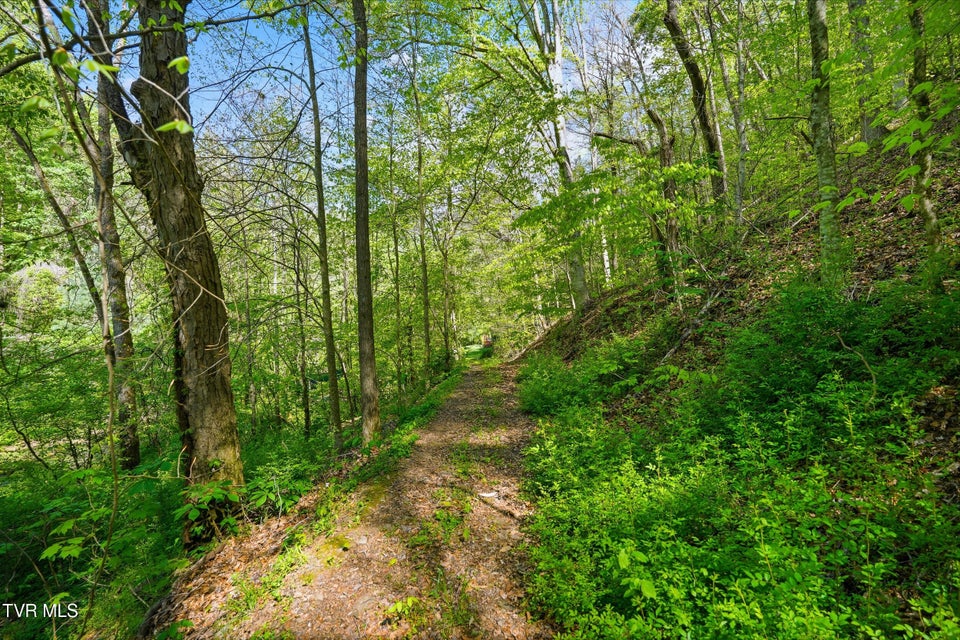 Photo #15: 2235 Wampler Hollow Road