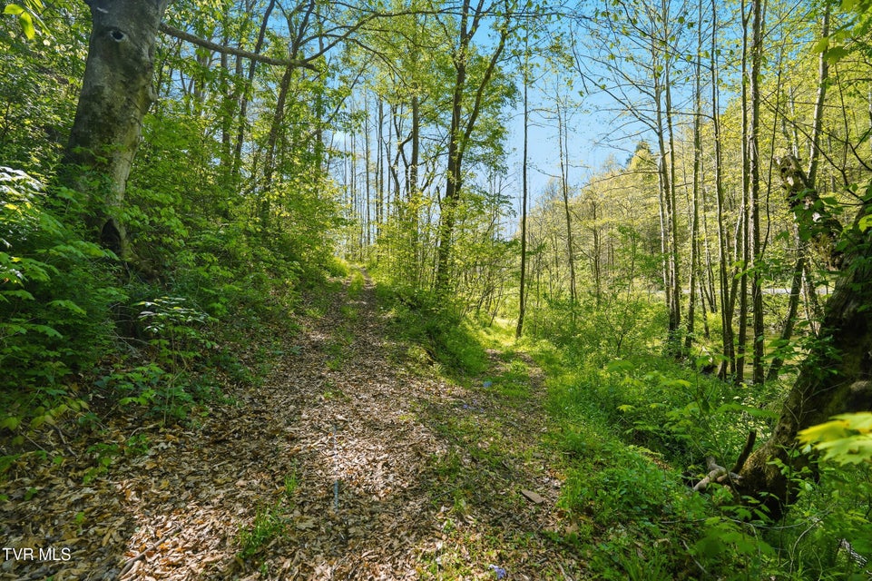 Photo #73: 2235 Wampler Hollow Road
