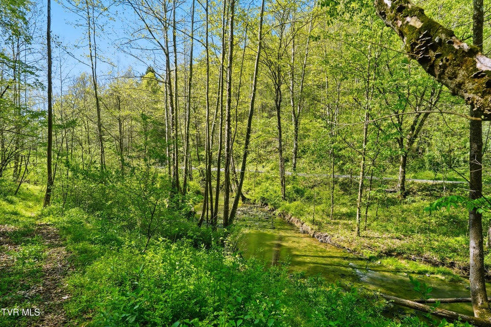 Photo #75: 2235 Wampler Hollow Road