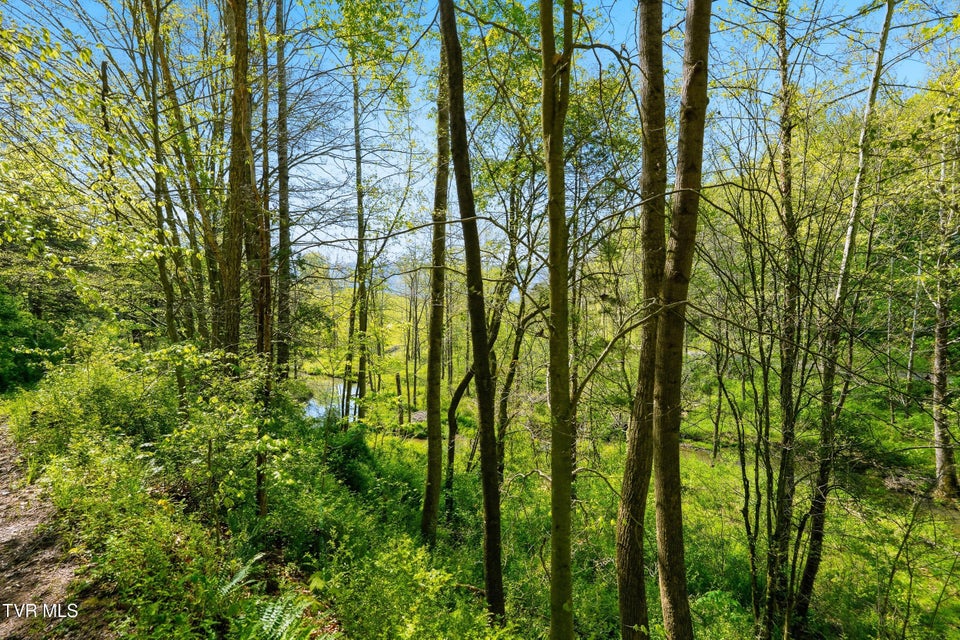 Photo #63: 2235 Wampler Hollow Road