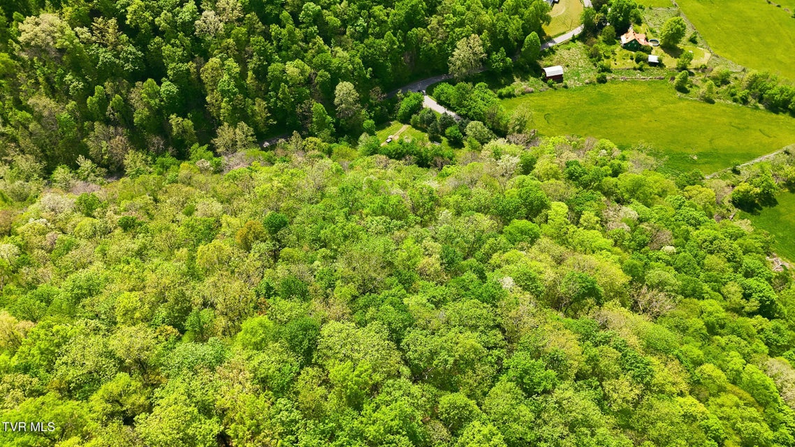 Photo #66: 2235 Wampler Hollow Road