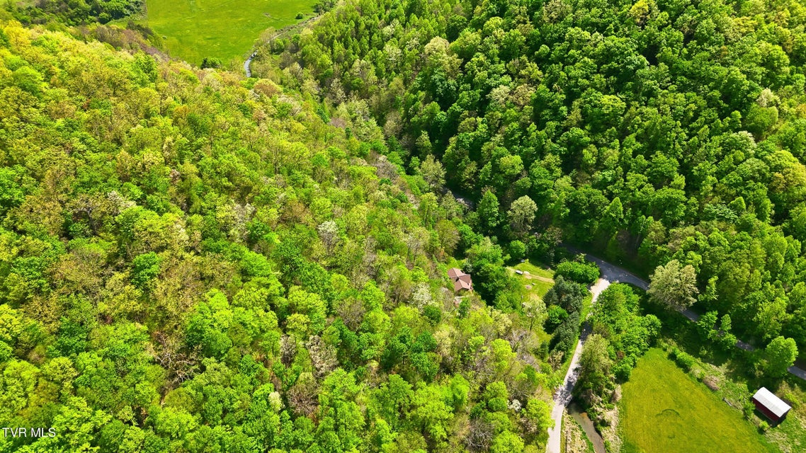 Photo #67: 2235 Wampler Hollow Road