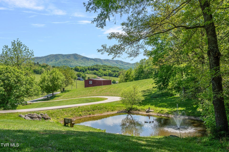 Photo #52: 2080 Allens Bridge Road