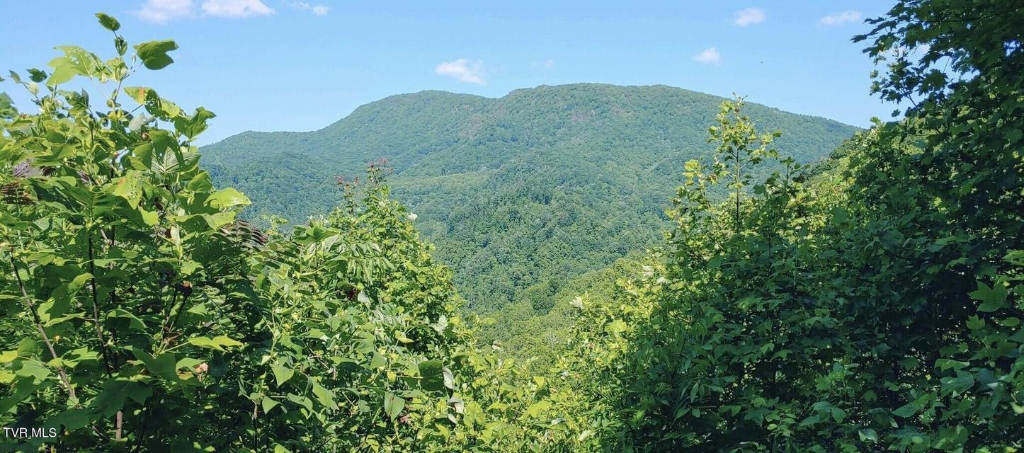 Photo #6: 174 Doty Road