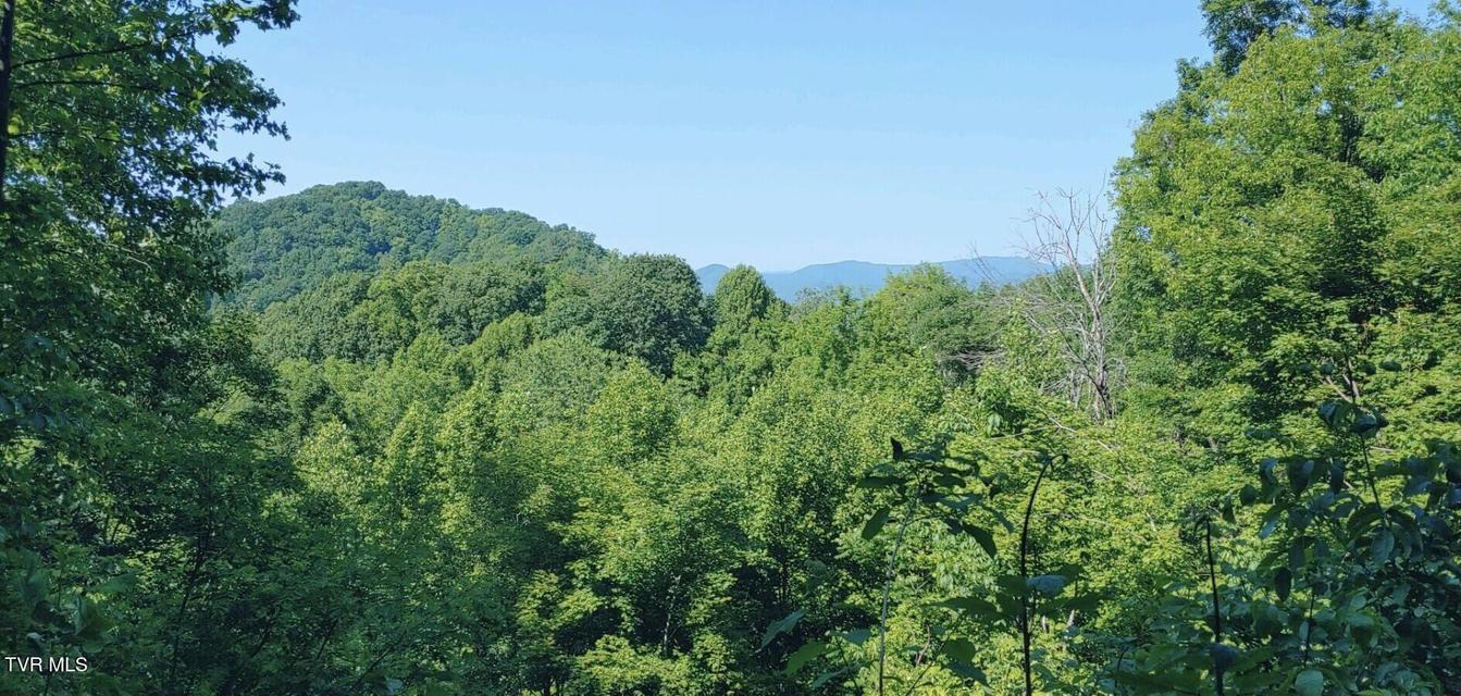 Photo #3: 174 Doty Road