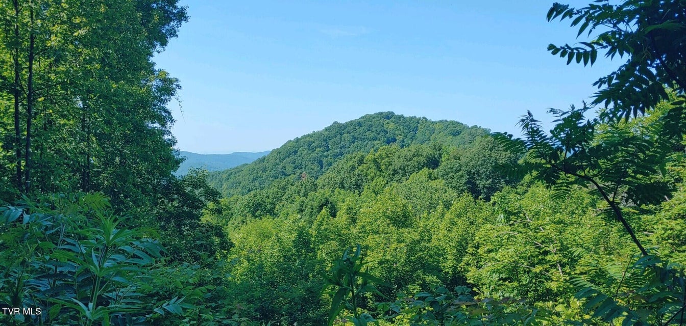 Photo #4: 174 Doty Road