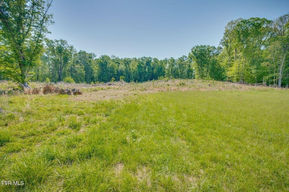 Photo #2: 0 Main Street