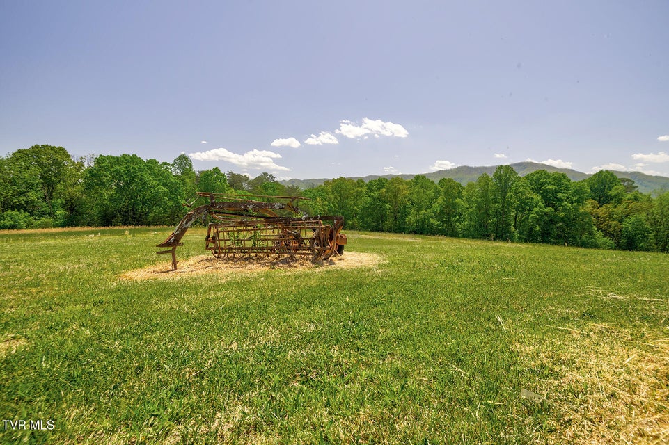 Photo #71: 822 Sunlight Road