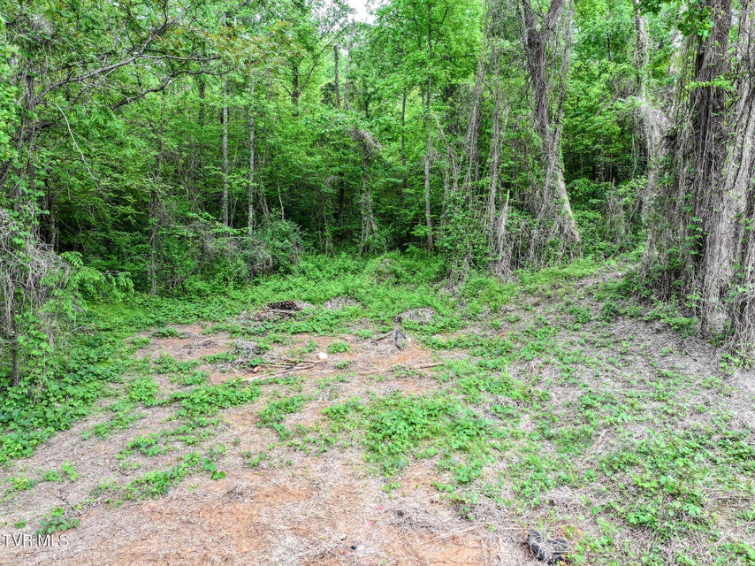 Photo #26: 235 House Road