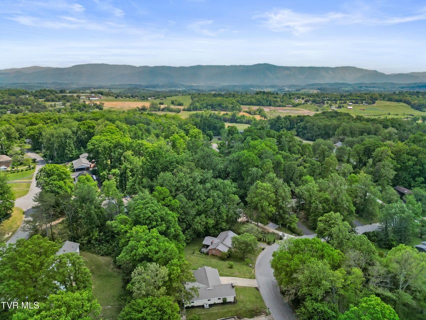 Photo #28: 1231 Tanglewood Drive