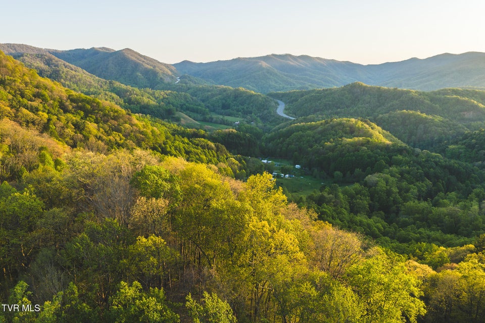 Photo #2: Tbd Gentry Mountain 