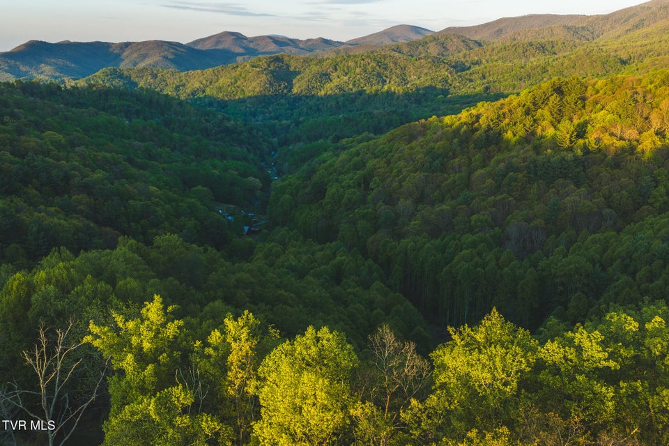 Photo #5: Tbd Gentry Mountain 
