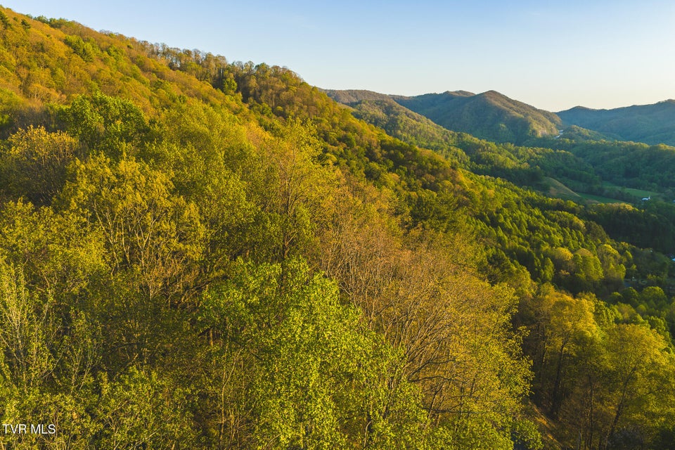 Photo #7: Tbd Gentry Mountain 