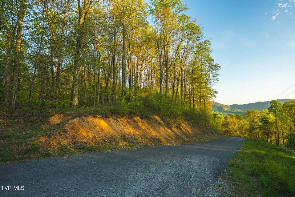 Photo #9: Tbd Gentry Mountain 