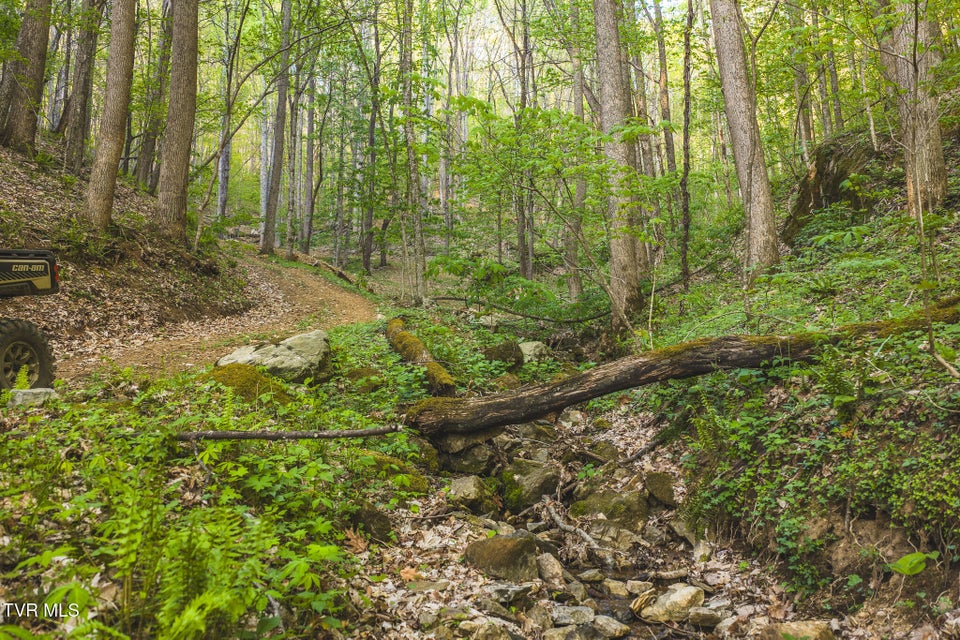 Photo #10: Tbd Gentry Mountain 
