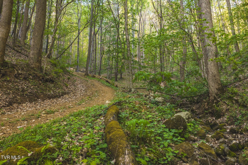 Photo #11: Tbd Gentry Mountain 