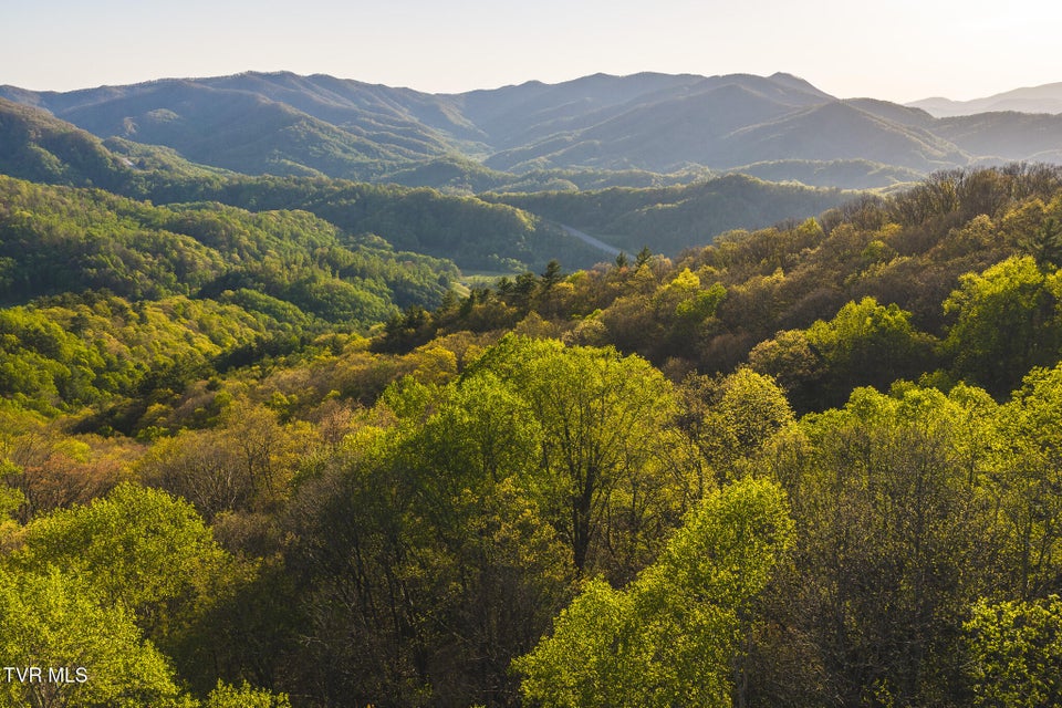Photo #18: Tbd Gentry Mountain 
