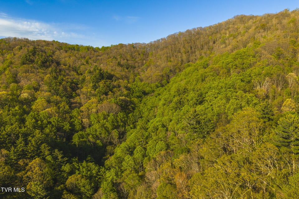 Photo #29: Tbd Gentry Mountain 