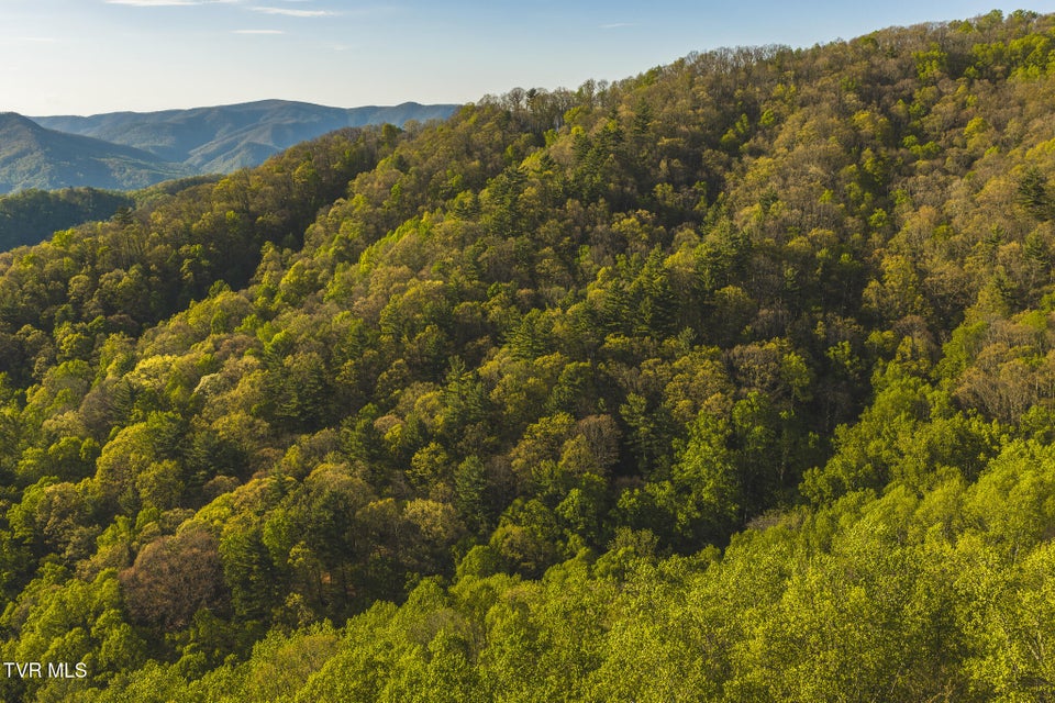 Photo #30: Tbd Gentry Mountain 