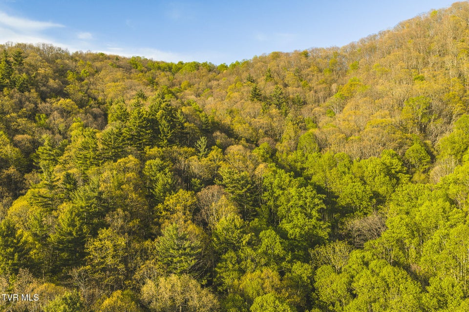 Photo #32: Tbd Gentry Mountain 