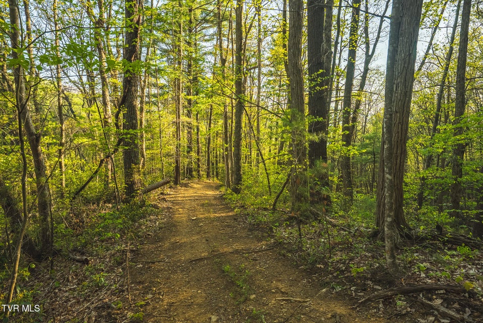 Photo #34: Tbd Gentry Mountain 
