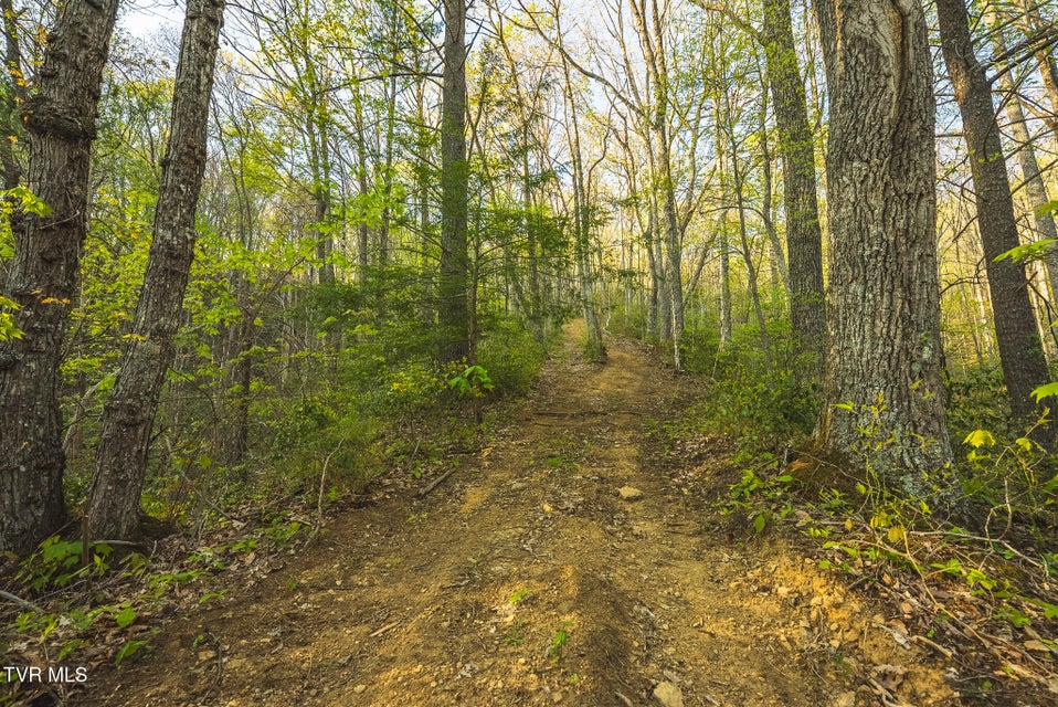 Photo #36: Tbd Gentry Mountain 