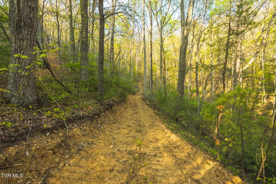 Photo #37: Tbd Gentry Mountain 