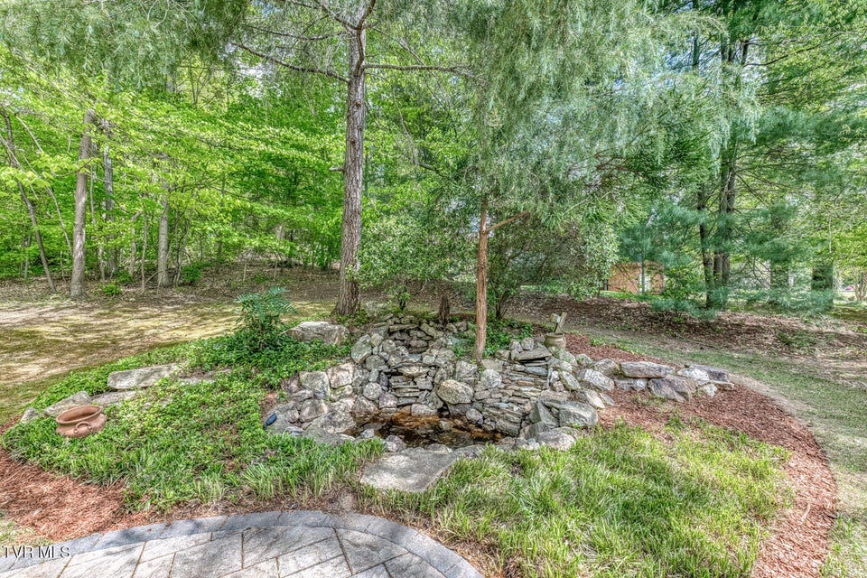 Photo #37: 202 Hidden Forest Court