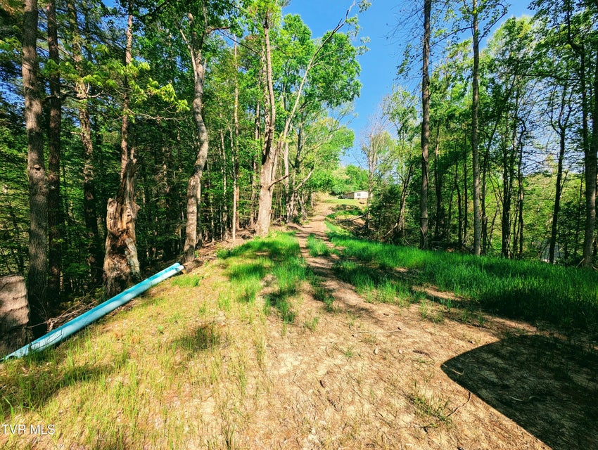 Photo #3: Tbd Leaf Ridge