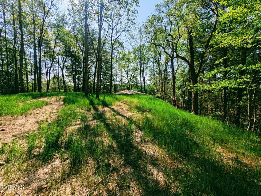 Photo #4: Tbd Leaf Ridge