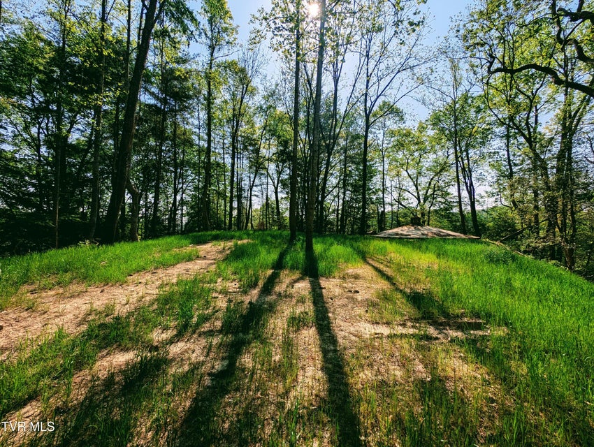 Photo #5: Tbd Leaf Ridge